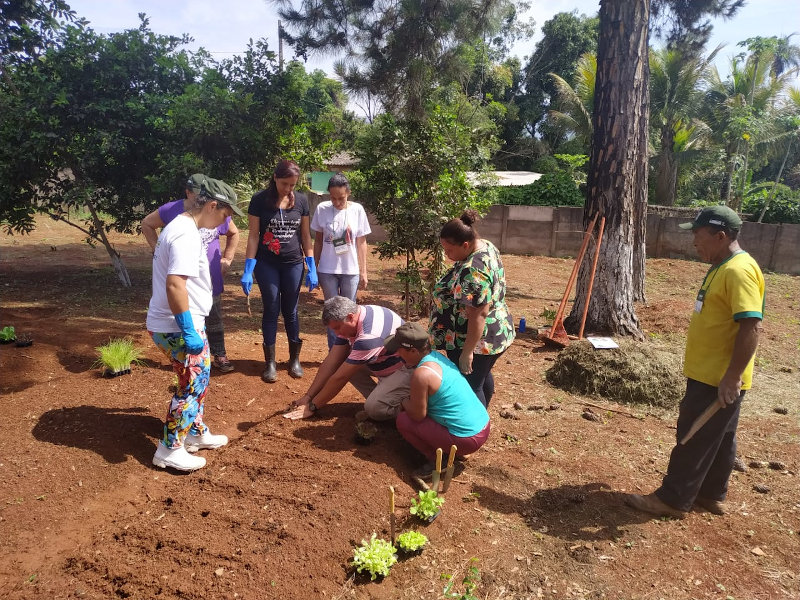 Curso de hortas