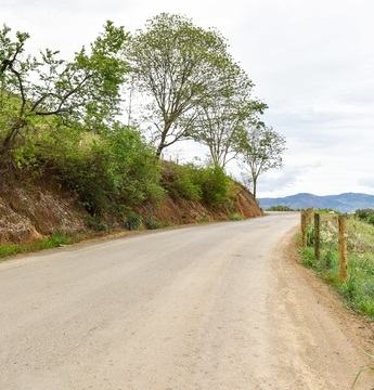 Programa Novos Caminhos